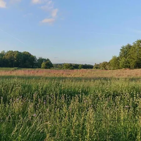 In Meeussen With Private Garden, Cleaning Included Holiday home Plasmolen